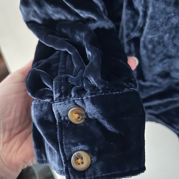 Pilcro Blue Velvet Top L - Picture 3 of 3